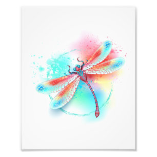 Impression Photo Dragonfly rouge sur l'arrière - plan aquarelle