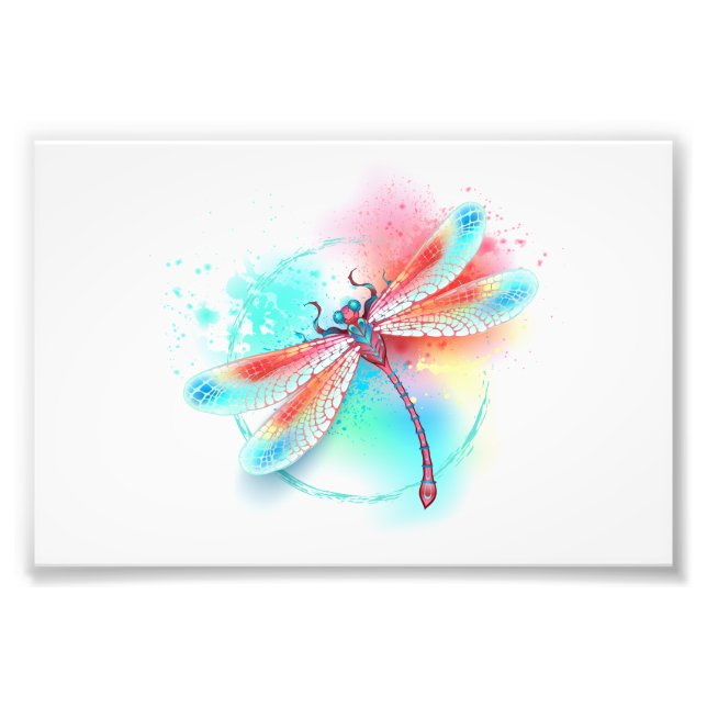 Impression Photo Dragonfly rouge sur l'arrière - plan aquarelle (Devant)