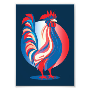 Impression Photo Drapeau Français Patrioster