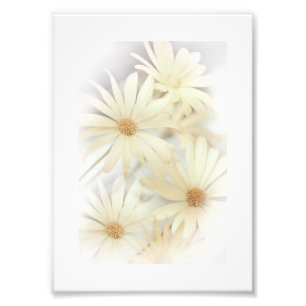 Impression Photo Dreamy Daisies 2