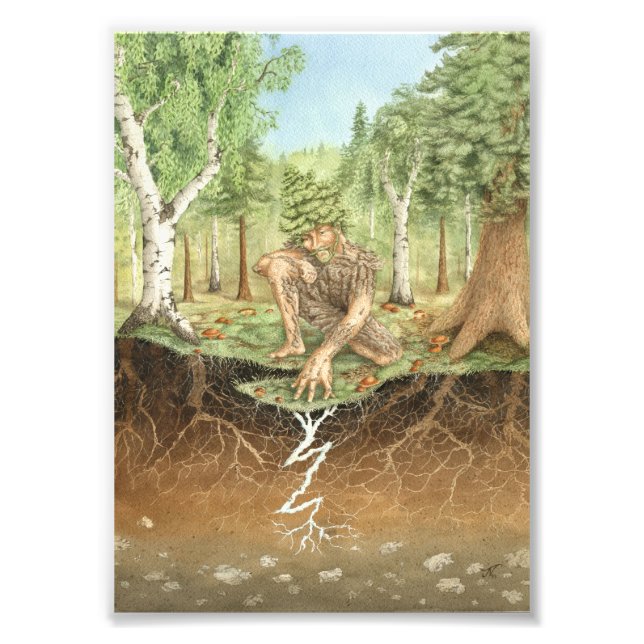 Impression Photo Dryad de champignons mycorhizés (Devant)