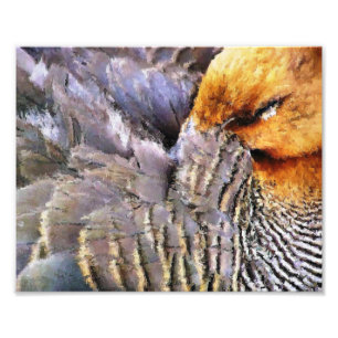 IMPRESSION PHOTO DUCK DE SOMMEIL