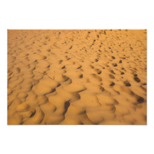 Impression Photo Dunes de sable à Pictured Rocks NL, Michigan