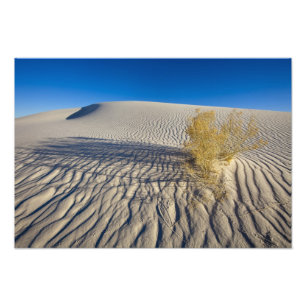 Impression Photo Dunes de sable à White Sands National Monument en