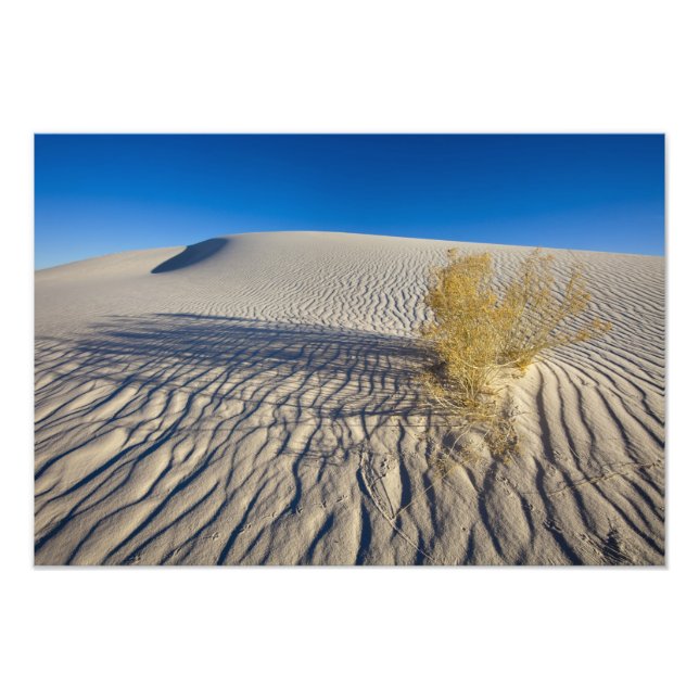 Impression Photo Dunes de sable à White Sands National Monument en  (Devant)