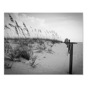 Impression Photo Dunes de sable de Floride