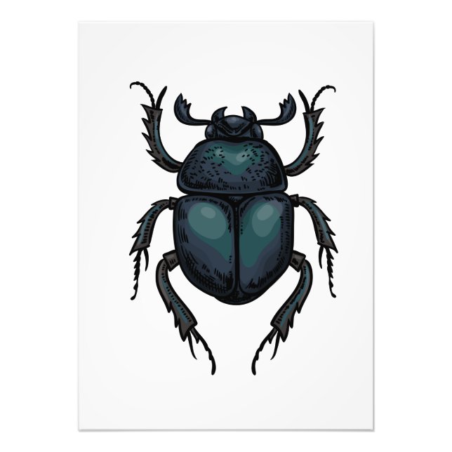 Impression Photo Dung beetle (Devant)