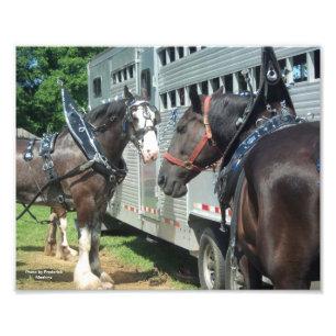 Impression Photo Duo à cheval