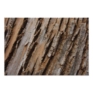 Impression Photo Écorce d'arbre I Dessin texturé abstrait naturel