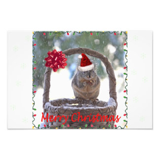 Impression Photo Écureuil portant le chapeau du Père Noël