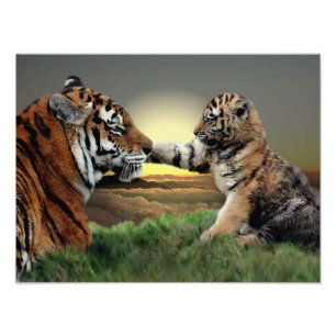 Impression Photo Édition numérique Tiger et Cub