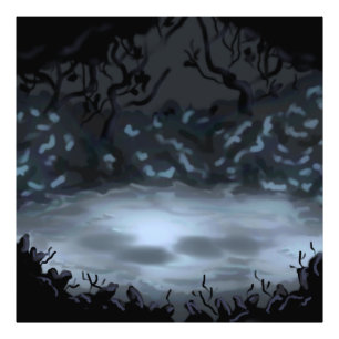 Impression Photo Effacement brillant