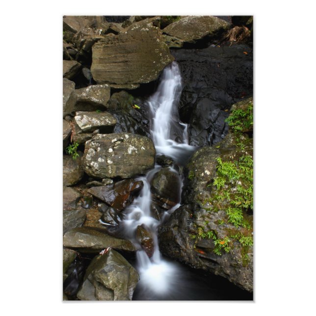 Impression Photo El Yunque Porto Rico (Devant)