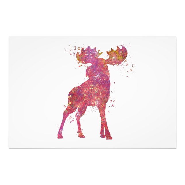 Impression Photo Elan Animal Forêt Faune Sauvage Nature Monde Terre (Devant)