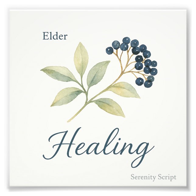 Impression Photo Elder — Healing (Devant)