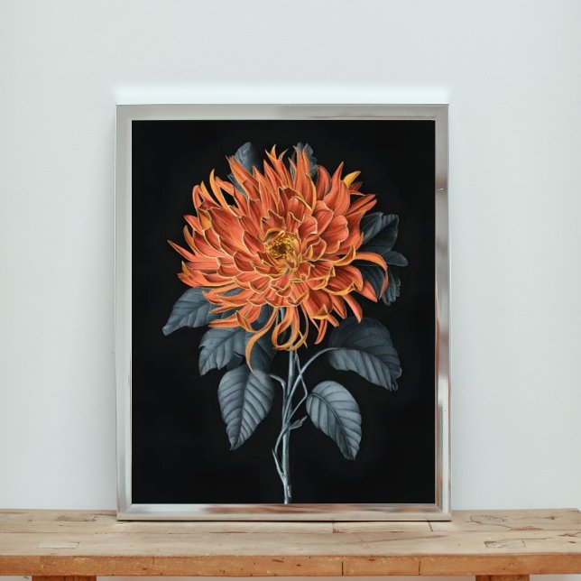 Impression Photo Élégance flamboyante : Chrysanthème orange (Créateur téléchargé)