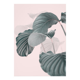 Impression Photo Élégance tropicale au Pastel