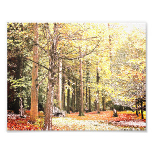 Impression Photo Élégant aquarelle forêt arbres en automne