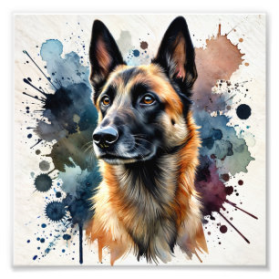 Impression Photo Elégant art d'aquarelle belge malinois