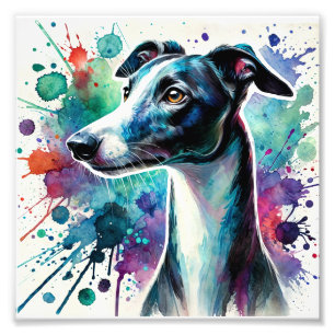 Impression Photo Elégant Whippet Aquarelle Art