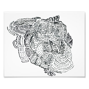 Impression Photo Eléphant