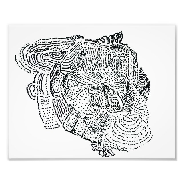 Impression Photo Eléphant (Devant)