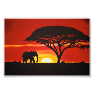 Impression Photo Eléphant africain, Coucher de soleil, Afrique, Déc