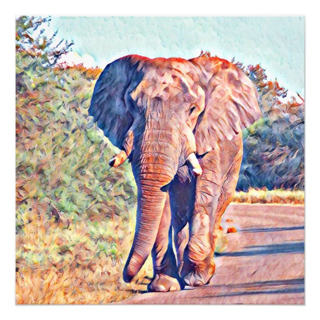Impression Photo éléphant aquarell (Devant)