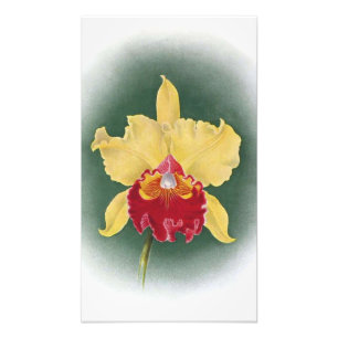 Impression Photo Élever votre espace : Golden Queen Orchid Clipart