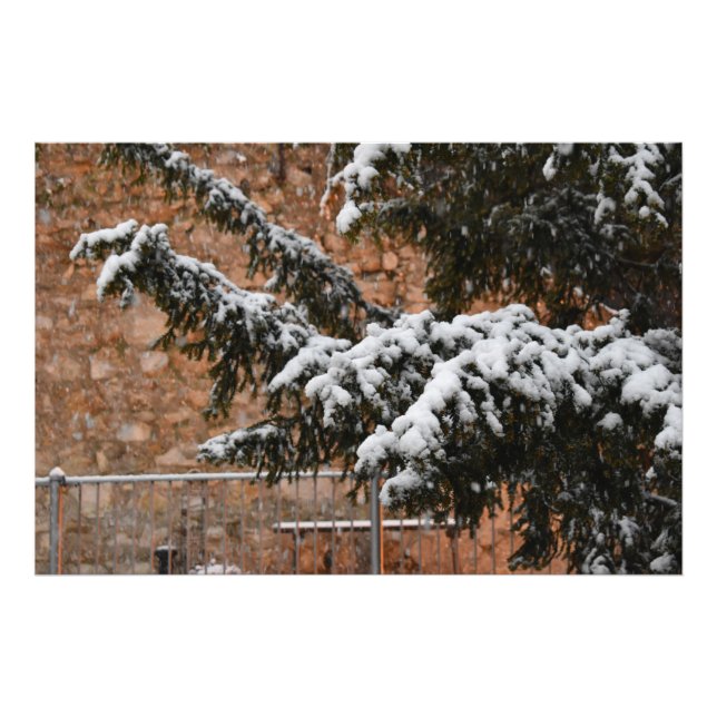 Impression Photo En hiver, neige sur les arbres (Devant)