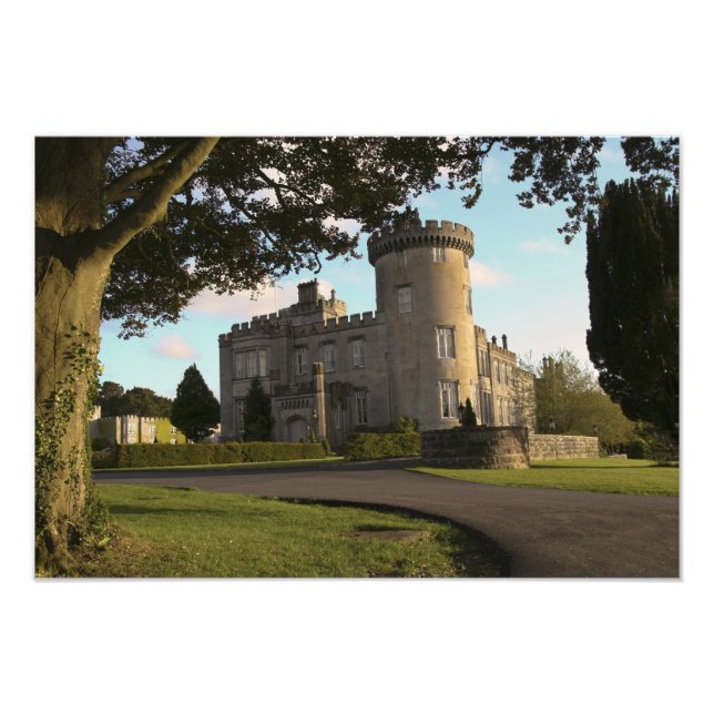 Impression Photo En Irlande, l'entrée latérale du château de Dromol (Devant)