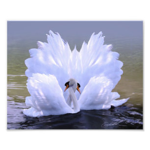 Impression Photo En tant qu'un, cygnes par Danny Hahlbohm