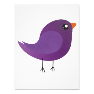 Impression Photo Enfants mignonette birdy