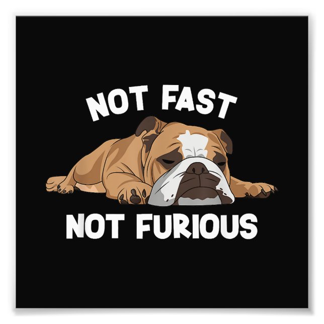 Impression Photo English Bulldog Sleeping Not Fast Not Furious Funn (Devant)