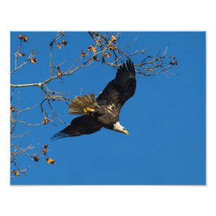 Impression Photo Entreprise sérieuse