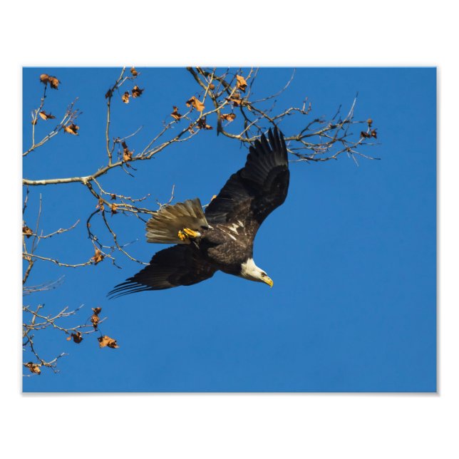 Impression Photo Entreprise sérieuse (Devant)