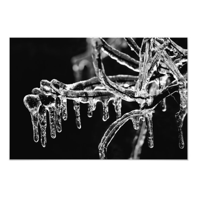 Impression Photo entrez l'hiver glacial (Devant)