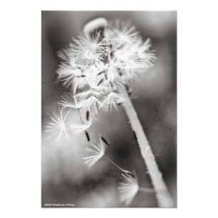 Impression Photo Envoi de souhaits
