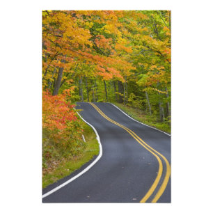 Impression Photo Érables colorés en ligne d'automne pittoresque