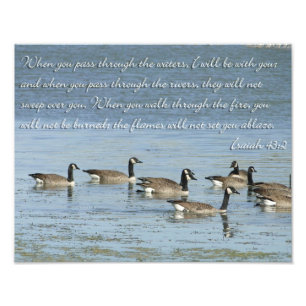 Impression Photo Ésaïe 43:2 Verset biblique avec oies nageuses