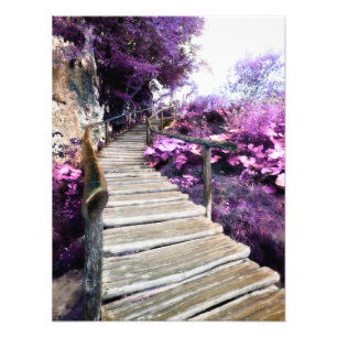 Impression Photo escalier de la glycine