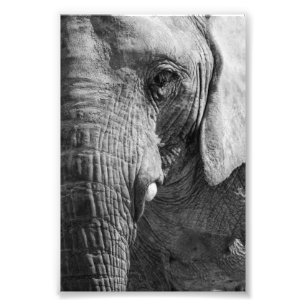 Impression Photo Espion d'oeil