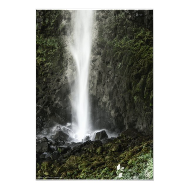 Impression Photo Esprit du bassin (Devant)