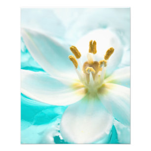 Impression Photo Etang bleu d'eau bleu Tulip blanc Aqua Turquoise