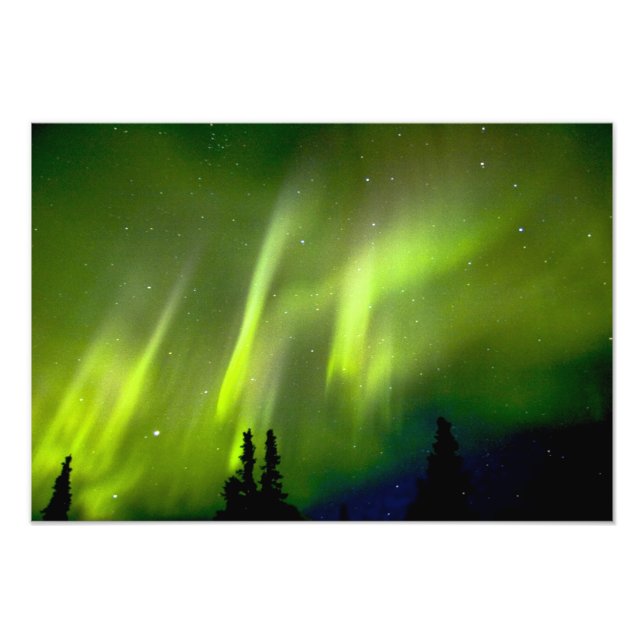 Impression Photo États-Unis, Alaska, Chena Hot Springs. Aurore 3 (Devant)