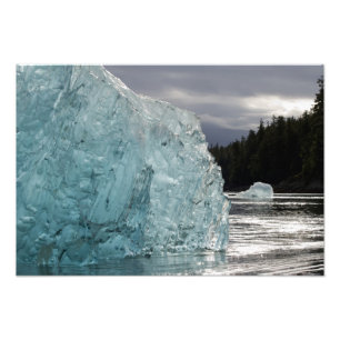 Impression Photo États-Unis, Alaska, Forêt nationale de Tongass, Tr