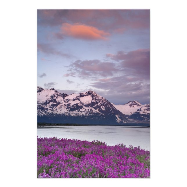 Impression Photo États-Unis, Alaska, vallée de la rivière Alsek. Vu (Devant)
