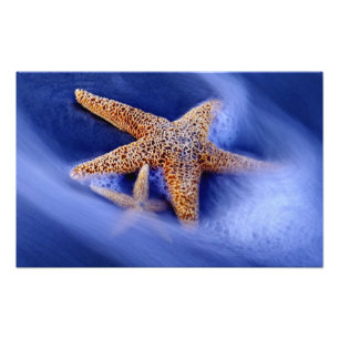 Impression Photo États-Unis, Caroline du Sud, Hilton Head Island. D