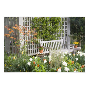 Impression Photo États-Unis, Géorgie, Pine Mountain. Chaise dans