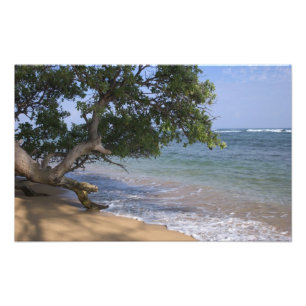 Impression Photo États-Unis, Hawaï, Kauai, vue de plage. RF)